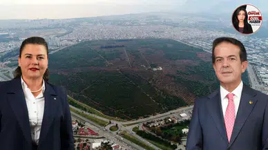 ZMO Antalya Şube Başkanı Kaçın'dan Vakıflar'a Zeytinlik Uyarsı!