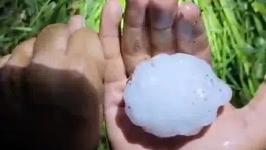 Yüreğir'de Yumruk Büyüklüğünde Dolu Yağışı Tarım Arazilerini Vurdu