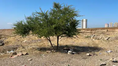 Adana'da Boş Arazide Hareketsiz Yatan 35 Yaşındaki Şahıs Ölü Bulundu
