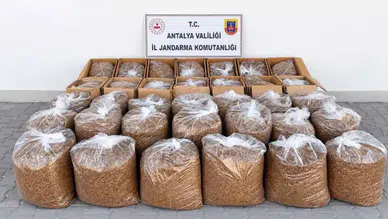 Antalya'nın 2 İlçesinde Dev Operasyon: 1 Ton Kaçak Tütün Yakalandı