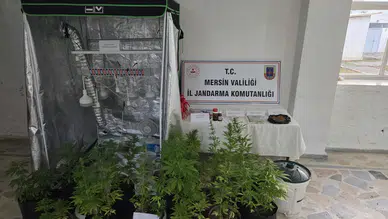 Mersin'de Uyuşturucu Operasyonu: Evin İçinde Gizli Kenevir Serası Çıktı