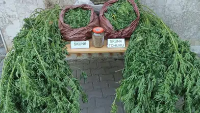 Korkuteli'nde Bir Eve Uyuşturucu Baskını! 11,5 Kilo Skunk Ele Geçirildi