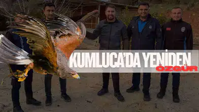 Antalya Kumluca’da Yaralı Bulundu! Gören Şoke Oldu! Bakan Bir Daha Baktı!