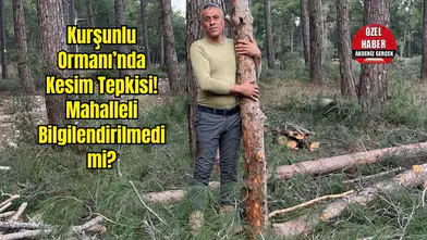 Kurşunlu Ormanı'nda Kesim İsyanı: Rakam 3 Katına Çıktı