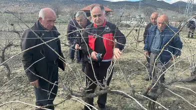 Korkuteli’nde Üreticilere Uygulamalı Budama Eğitimi