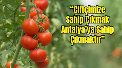 Kaş’ta Çiftçinin 1 Aylık Kazancı Borca Gidiyor
