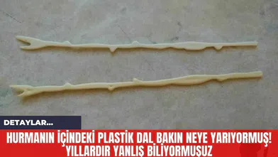 Hurmanın İçindeki Plastik Dal Bakın Neye Yarıyormuş! Yıllardır Yanlış Biliyormuşuz