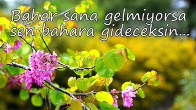 Bahar sana gelmiyorsa, sen bahara gideceksin...