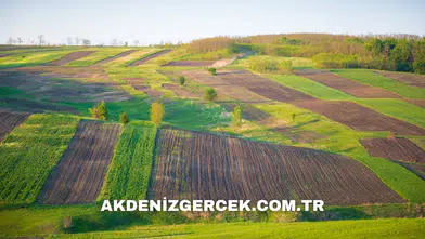 Ankara Gölbaşı'nda mahkemeden satılık arsa