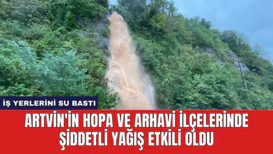 Artvin'in Hopa ve Arhavi İlçelerinde Şiddetli Yağış Etkili Oldu