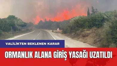 Ormanlık Alanlara Giriş Yasağı Uzatıldı
