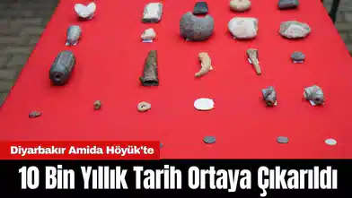 Amida Höyük'te 10 Bin Yıllık Tarih Ortaya Çıkarıldı