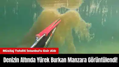 İstanbul’da Denizin Altında Yürek Burkan Manzara Görüntülendi!