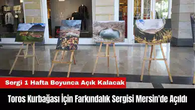 Toros Kurbağası İçin Farkındalık Sergisi Mersin'de Açıldı