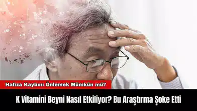 K Vitamini Beyni Nasıl Etkiliyor? Bu Araştırma Şoke Etti