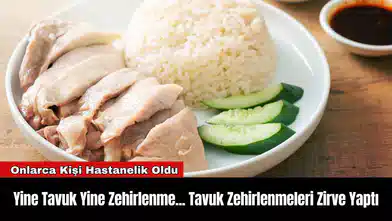 Yine Tavuk Yine Zehirlenme! Tavuk Zehirlenmeleri Zirve Yaptı