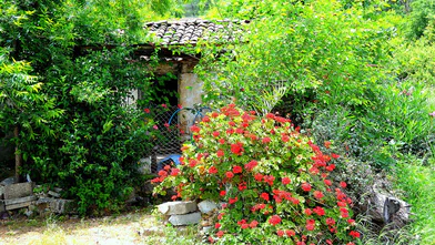 ALAYLI bir bahar masalı….