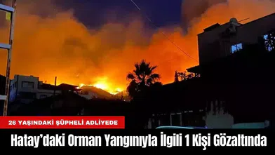 Hatay’daki Orman Yangınıyla İlgili 1 Kişi Gözaltında