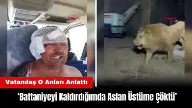 Antalya'da Aslanın Yaraladığı Vatandaş O Anları Anlattı