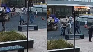 Parkta oynayan çocuklara vahşi saldırı!  5 ve 6 yaşındaki çocukları yerden yere vurdu