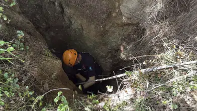 Alanya'da 15 Metrelik Mağaraya Düve Düştü! Acı Karar Verildi
