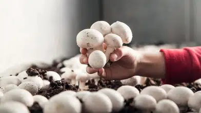 Korkuteli’nde  Sertifikasını Alan Kendisi Üretebilecek