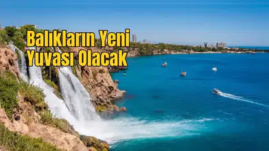 Antalya’nın Sualtı Haritası Değişiyor, Bloklar Denize İndirilecek
