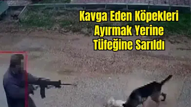 Kepez Duacı'da Sokak Köpeğini Pompalı Tüfekle Öldürdü