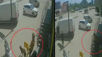 Savaştan Kaçıp Antalya’da Hayvan Canisi Oldu
