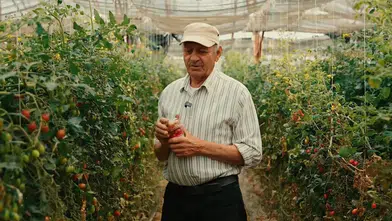 62 Yıl Önce Tarıma Başladı, İlk Çeri Domatesi O Dikti!
