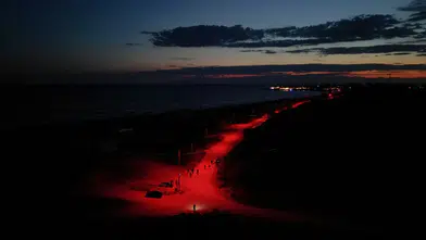 800 bin yıllık içgüdüye modern dokunuş: Caretta carettaların hayatı kurtuluyor!