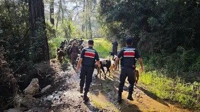 41 Kere Maşallah! Kumluca'da Kaybolan Keçileri Jandarma Buldu