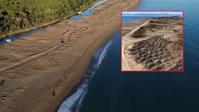 Kumköy Sahili'nde 1500 Lağım Çukuru: Suç Duyurusunda Bulunuldu