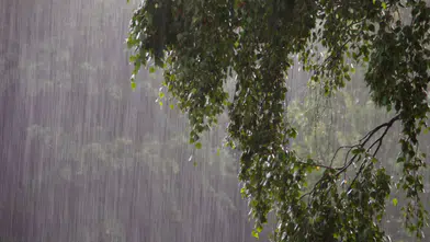 Adana'ya Sağanak Yağış Uyarısı! Meteoroloji 5 Günlük Raporu Yayınladı