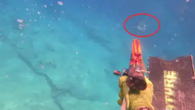 Kumluca Açıklarında Köpek Balığıyla Burun Buruna Geldi