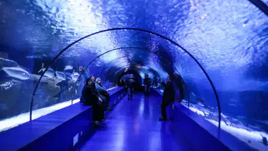 Antalya'da Yapay Zeka Destekli Anket Tuzağı: Kartları Kopyaladılar