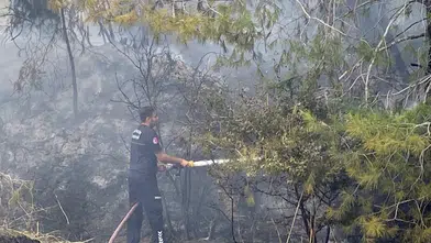 Antalya Aksu’da Ormanlık Alanda Yangın Paniği: Ekipler Seferber Oldu