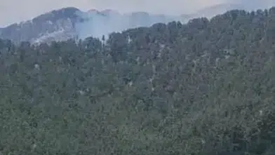 Yağmur Beklerken Alev Geldi! Antalya'da Yıldırım Ormanı Yaktı!