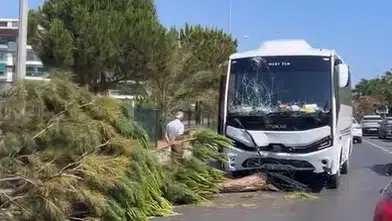 Alanya’da tur midibüsü dehşeti! Refüjü aşıp karşı şeride geçti!