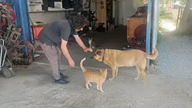 "Uyutalım" Dediler Reddetti: Kör Köpeği ve Tek Gözlü Kedisi Can Dostu