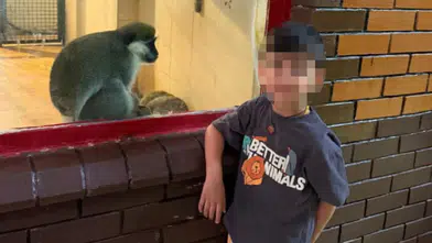 Alanya'da Acı Olay! Havuzda Boğulan 4 Yaşındaki Çocuk Hayatını Kaybetti