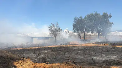 Gazipaşa'da Sera Yangını! Alevler 7,5 Dekarlık Üretim Alanını Kül Etti