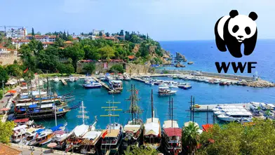 WWF Platformunda Büyük Başarı: Antalya İklim Projeleriyle Finalde
