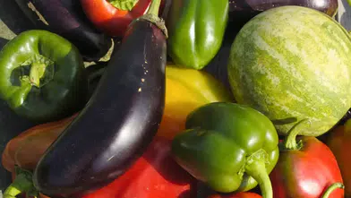 Antalya'da Biberden Karpuza Tezgahlarda Son Durum