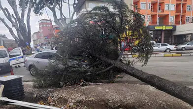 Isparta'da Fırtına Dehşeti: Dev Ağaç Otomobile Düştü