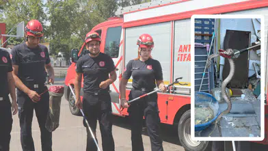 Antalya'da Yılan İhbarları Arttı: “Günde 10 Vakaya Müdahale”