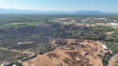Antalya Kepez'de Orman Yangını: Ekipler Seferber Oldu