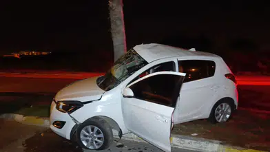 Manavgat’ta Otomobil Palmiyeye Çarptı: Sürücü Yaralandı