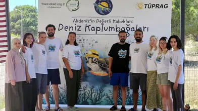 Antalya'da Caretta Caretta Yuva Sayısında Hızlı Artış