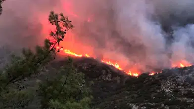 Kaş'ta Orman Yangını: Ekipler Havadan ve Karadan Müdahale Ediyor